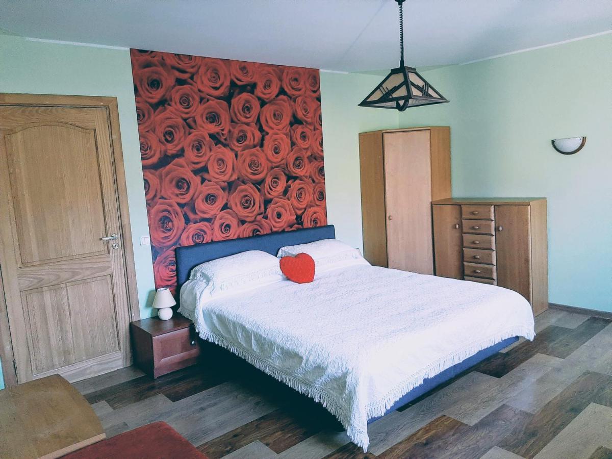 Irene Apartments دروسكينينكاي المظهر الخارجي الصورة