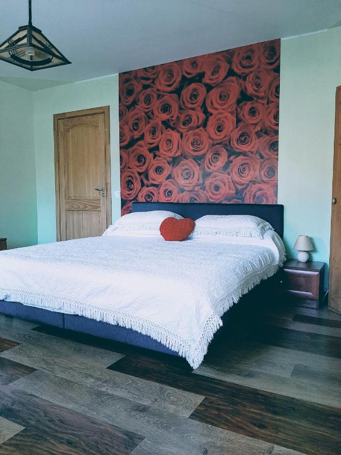 Irene Apartments دروسكينينكاي المظهر الخارجي الصورة