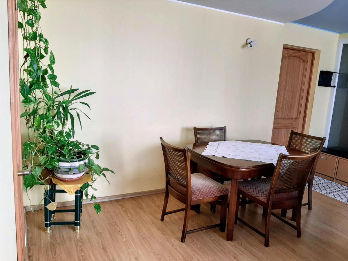 Irene Apartments دروسكينينكاي المظهر الخارجي الصورة