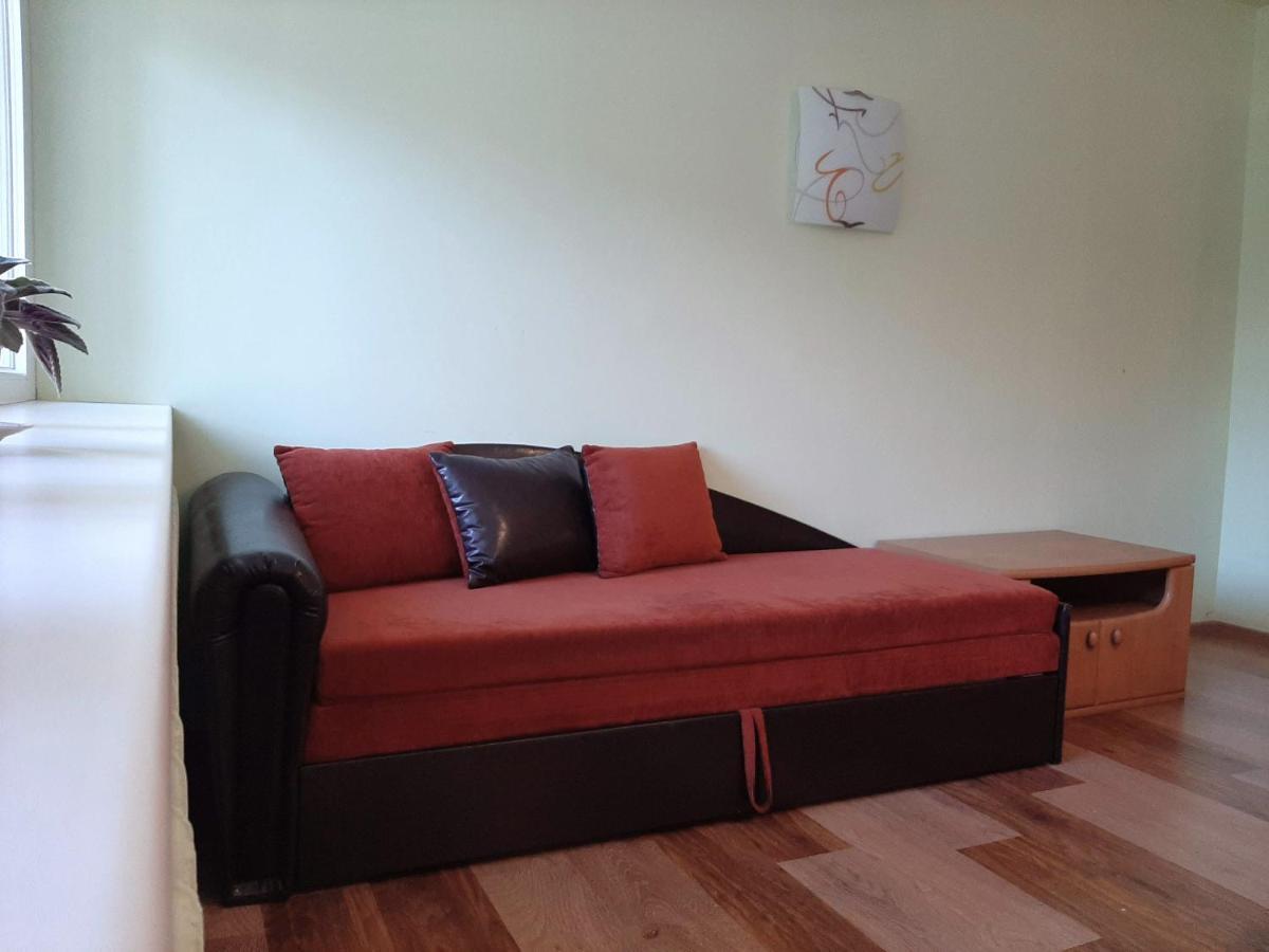 Irene Apartments دروسكينينكاي المظهر الخارجي الصورة